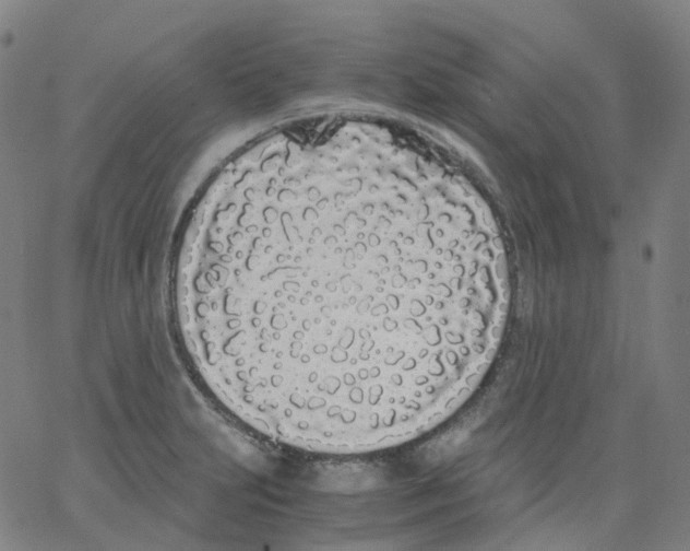 X0000062901231200602101758