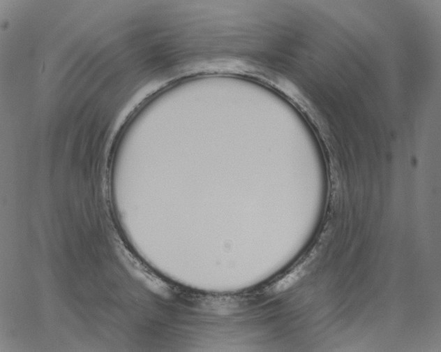 X0000062901232200602101758