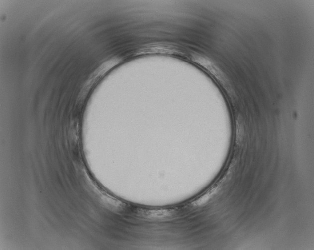 X0000062901233200602101758