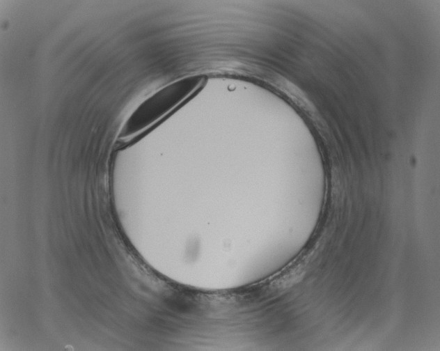 X0000062901234200602101758