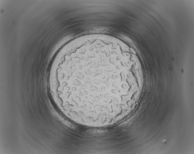 X0000062901235200602101758