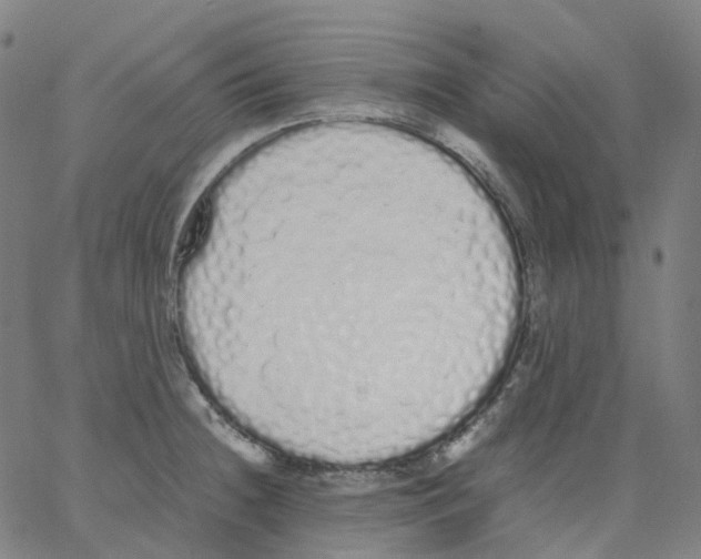 X0000062901236200602101758