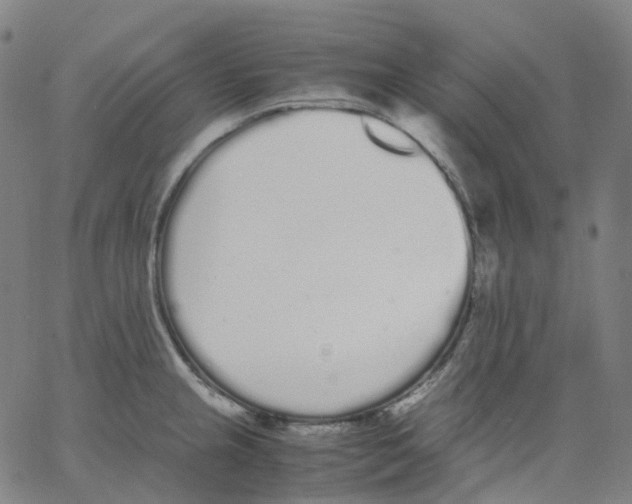 X0000062901237200602101758