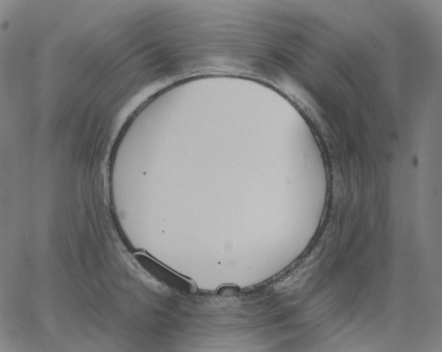 X0000062901238200602101758