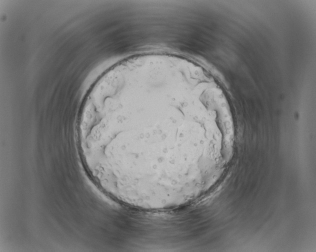 X0000062901239200602101759