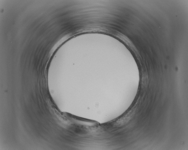 X0000062901242200602101759