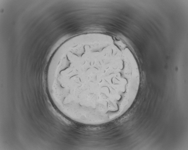 X0000062901243200602101759