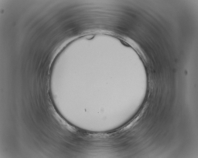 X0000062901244200602101759