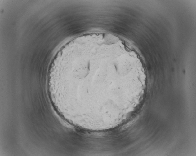 X0000062901245200602101759