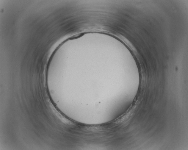 X0000062901246200602101759