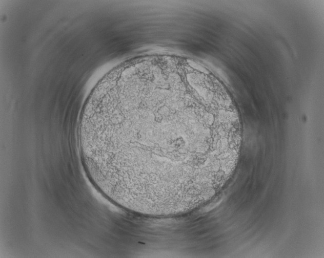 X0000062901247200602101759