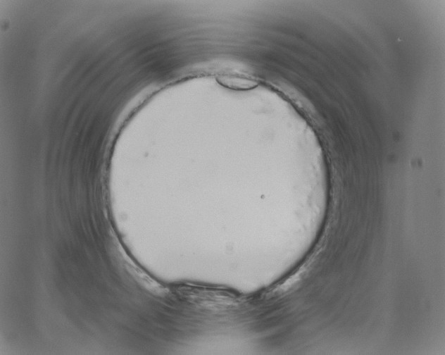 X0000062901248200602101759