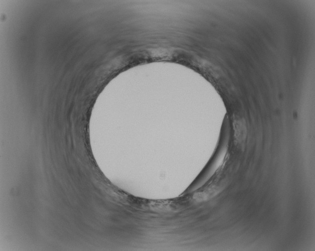 X0000062901249200602101758