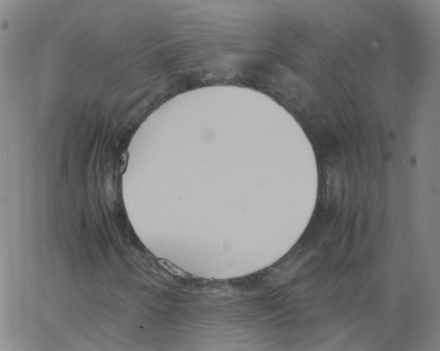 X0000062901250200602101758