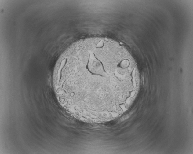 X0000062901251200602101758