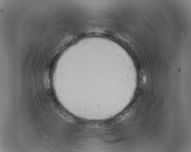 X0000062901252200602101758