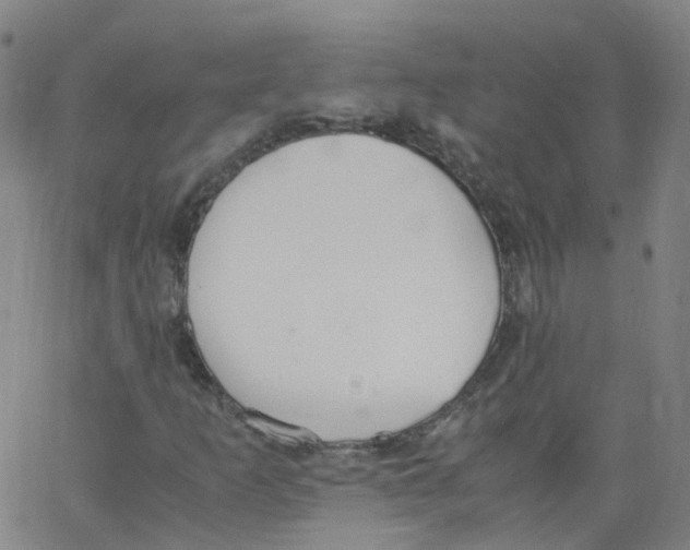 X0000062901253200602101758