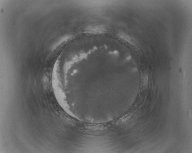 X0000062901254200602101758