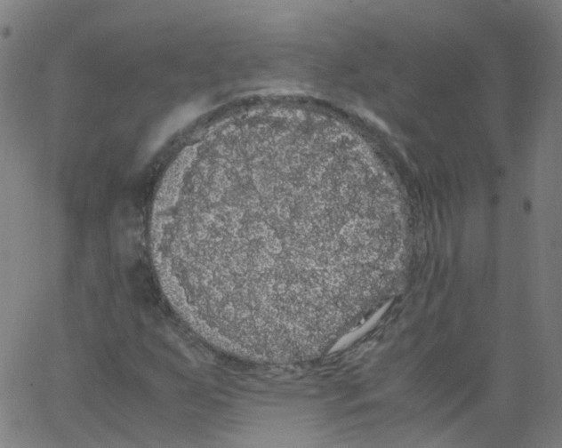 X0000062901255200602101758