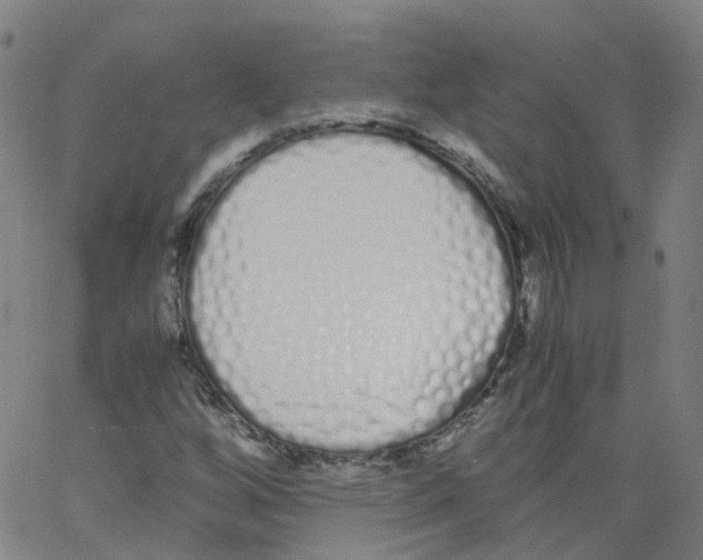 X0000062901256200602101758