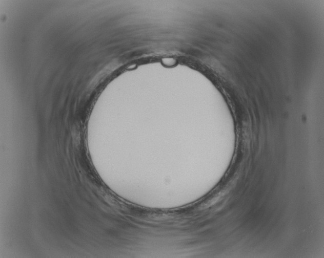 X0000062901257200602101758