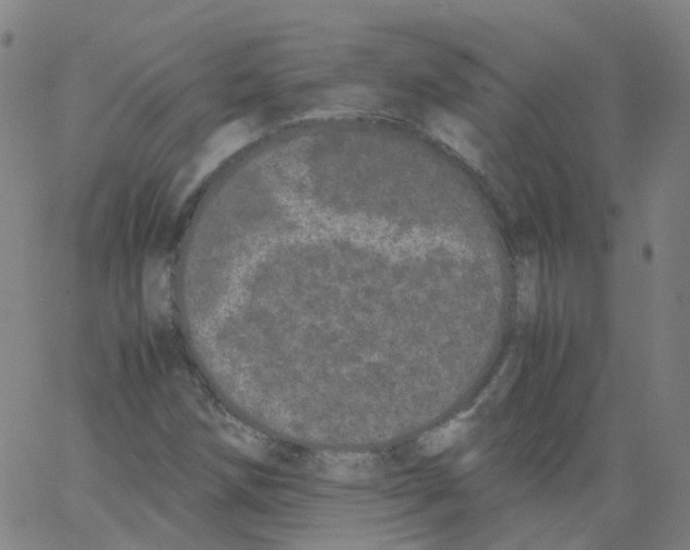 X0000062901258200602101758