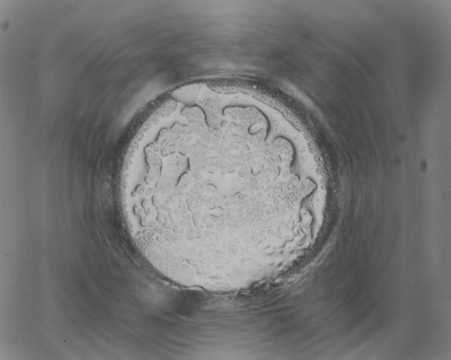 X0000062901259200602101758