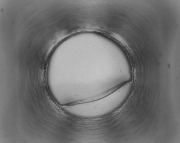 X0000062901260200602101758