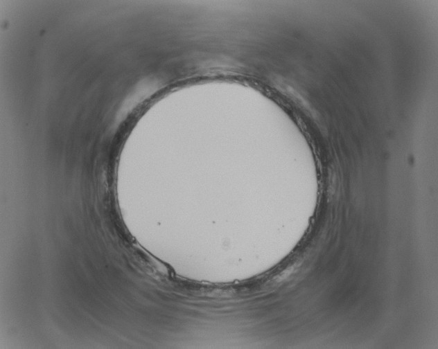 X0000062901261200602101758