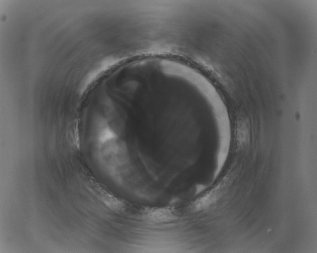 X0000062901262200602101758