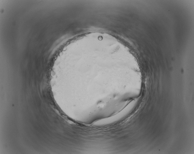 X0000062901263200602101758