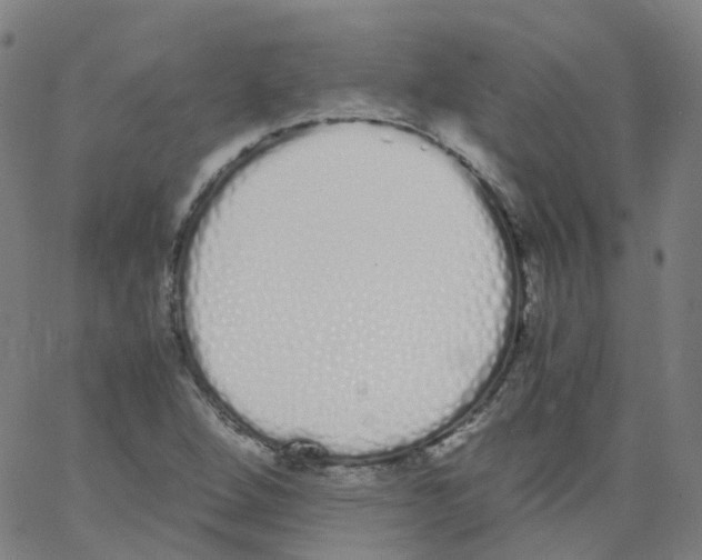 X0000062901264200602101758