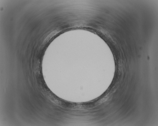 X0000062901265200602101758