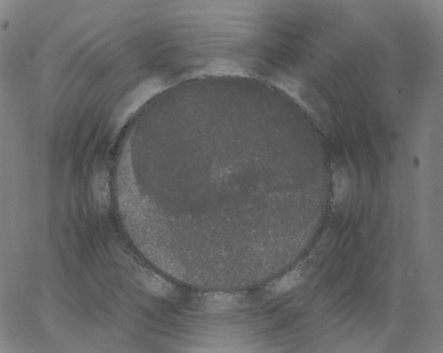 X0000062901266200602101758