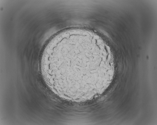 X0000062901267200602101758