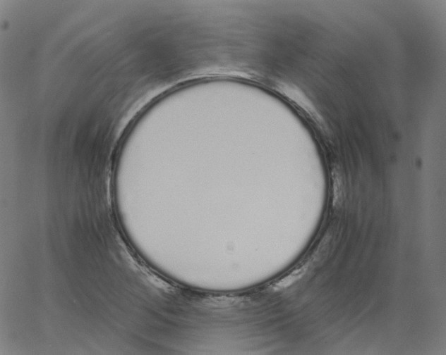 X0000062901268200602101758