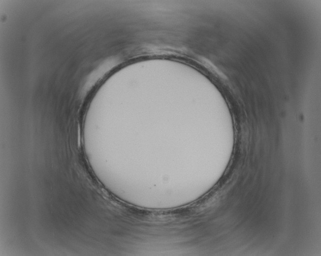 X0000062901269200602101758