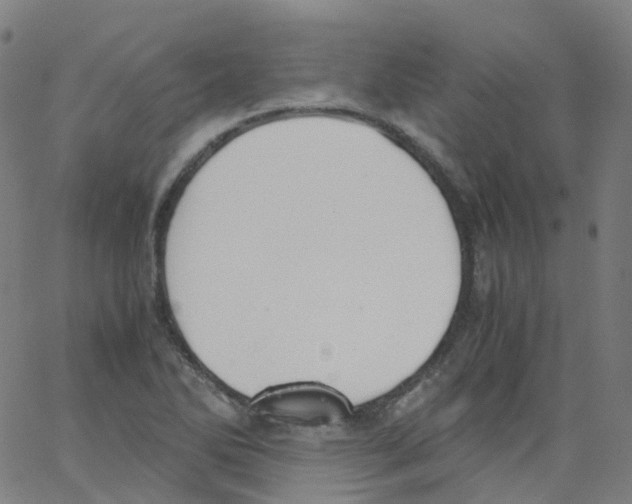 X0000062901270200602101758