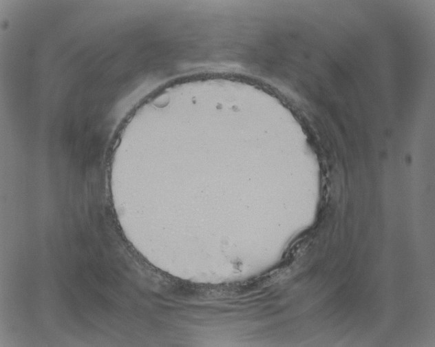 X0000062901271200602101758