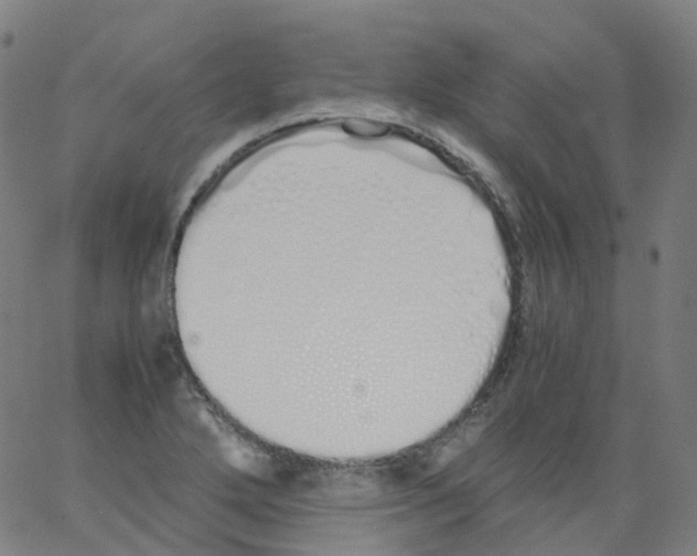 X0000062901272200602101758