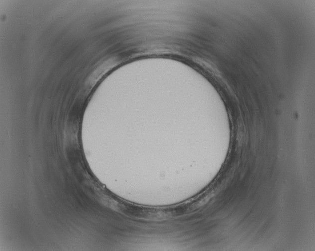 X0000062901273200602101758