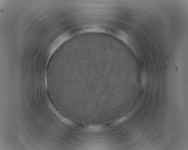 X0000062901274200602101757