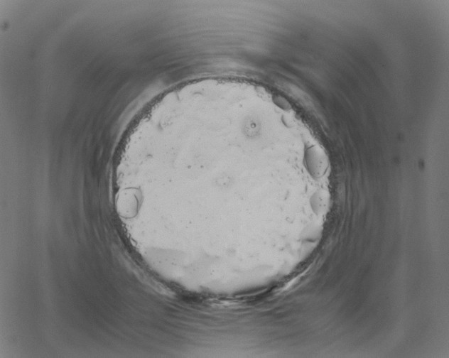 X0000062901275200602101757