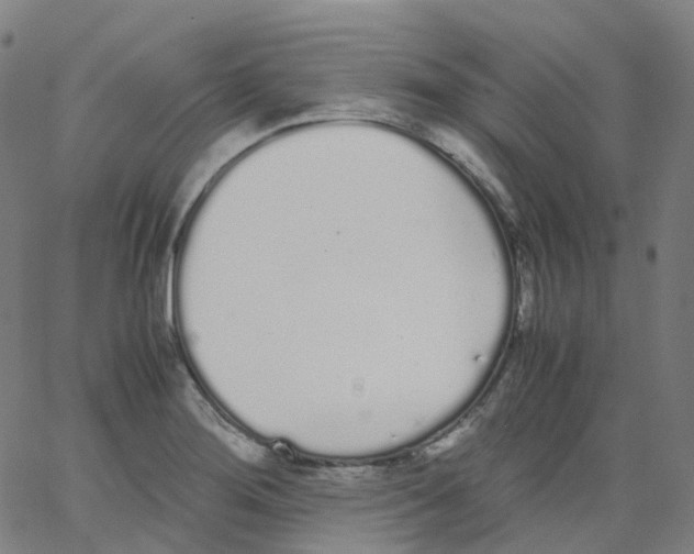 X0000062901276200602101757