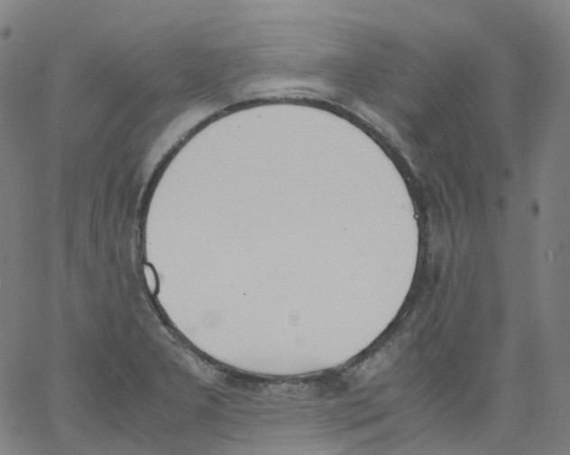 X0000062901277200602101757