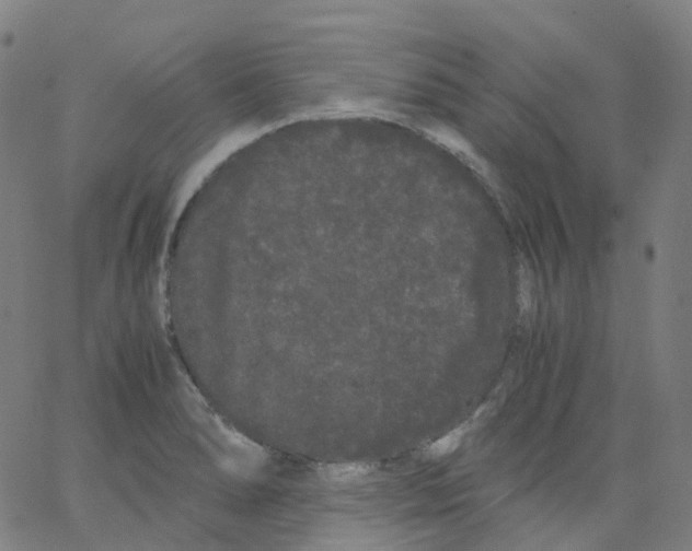 X0000062901278200602101757