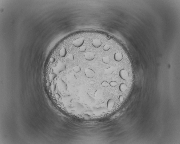 X0000062901279200602101757