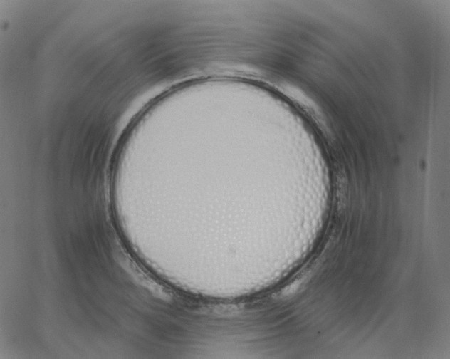 X0000062901280200602101757