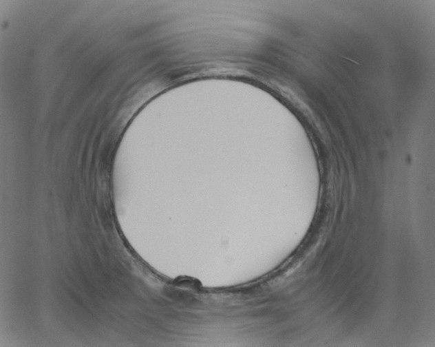 X0000062901281200602101757