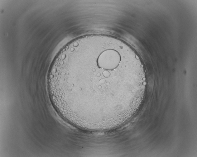 X0000062901283200602101757